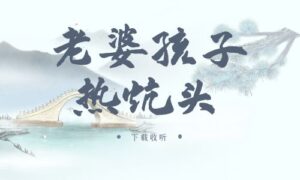《老婆孩子热炕头》广播剧全集多版本未删减[在线下载]