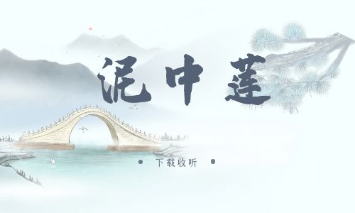 《泥中莲》广播剧全两期完整版未删减[免费下载]