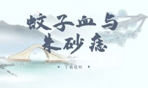 《蚊子血与朱砂痣》广播剧全一期完整版未删减[在线下载]-小燕社区