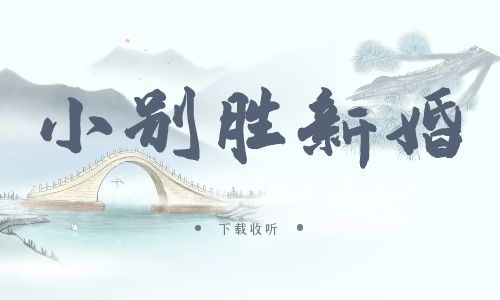 《小别胜新婚》广播剧全两期完整版未删减[免费下载]