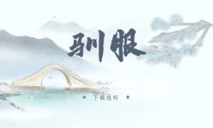 《驯服》广播剧全一期完整版未删减[下载免费]