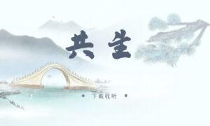 《共生》广播剧全两期完整版未删减[免费下载]-小燕社区