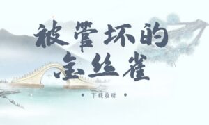 《被管坏的金丝雀》广播剧全两期完整版未删减[免费下载]