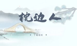 《枕边人》广播剧全三期完整版未删减[免费下载]